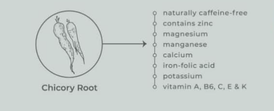 Farmasi Nutriplus Chicory Coffee Root
